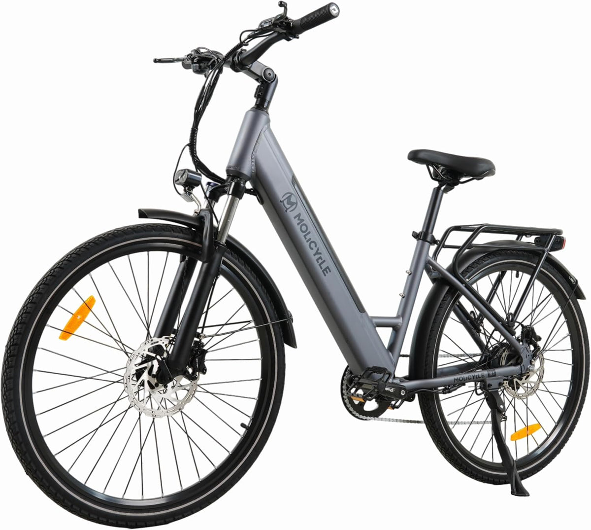 E-Bike R1, 36 V, 14.5 Ah, 26 Zoll, bürstenlos, Grau/Schwarz, Molicycle